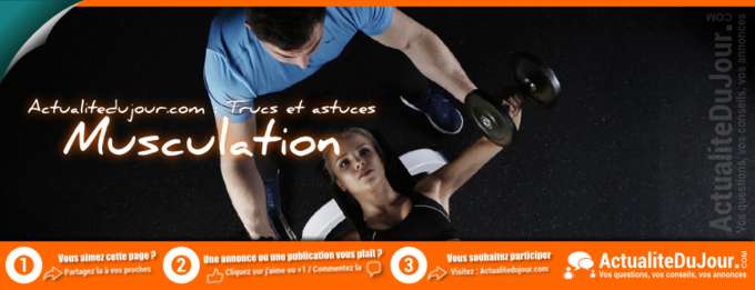 Musculation, programme, exercice et nutrition